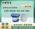Һwz/ҺwzElkem LSR9050-50/60-MS